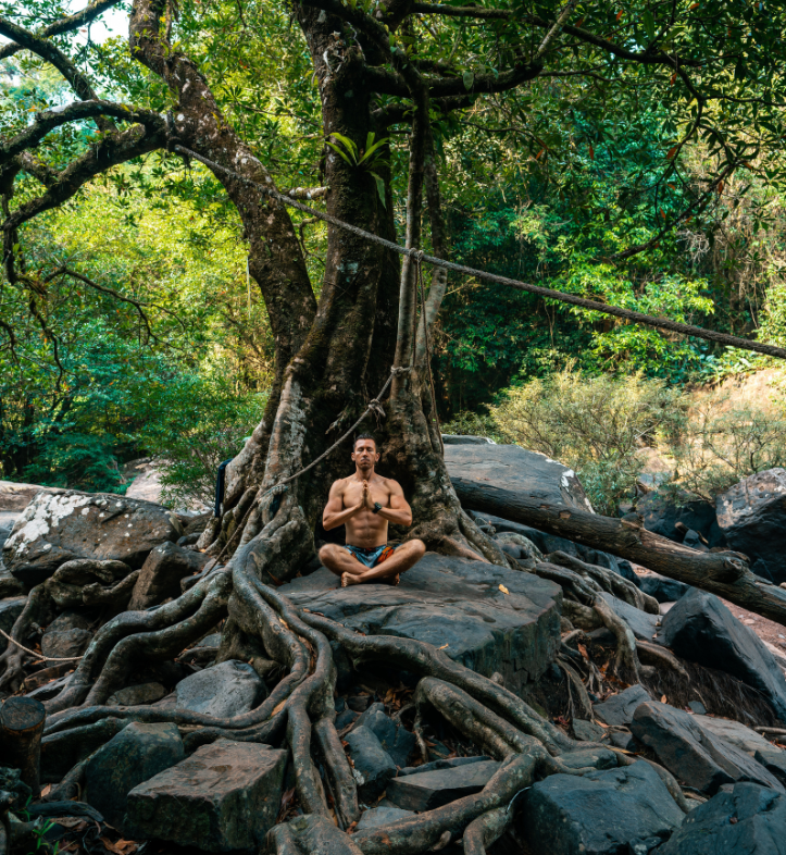 Online courses Online courses