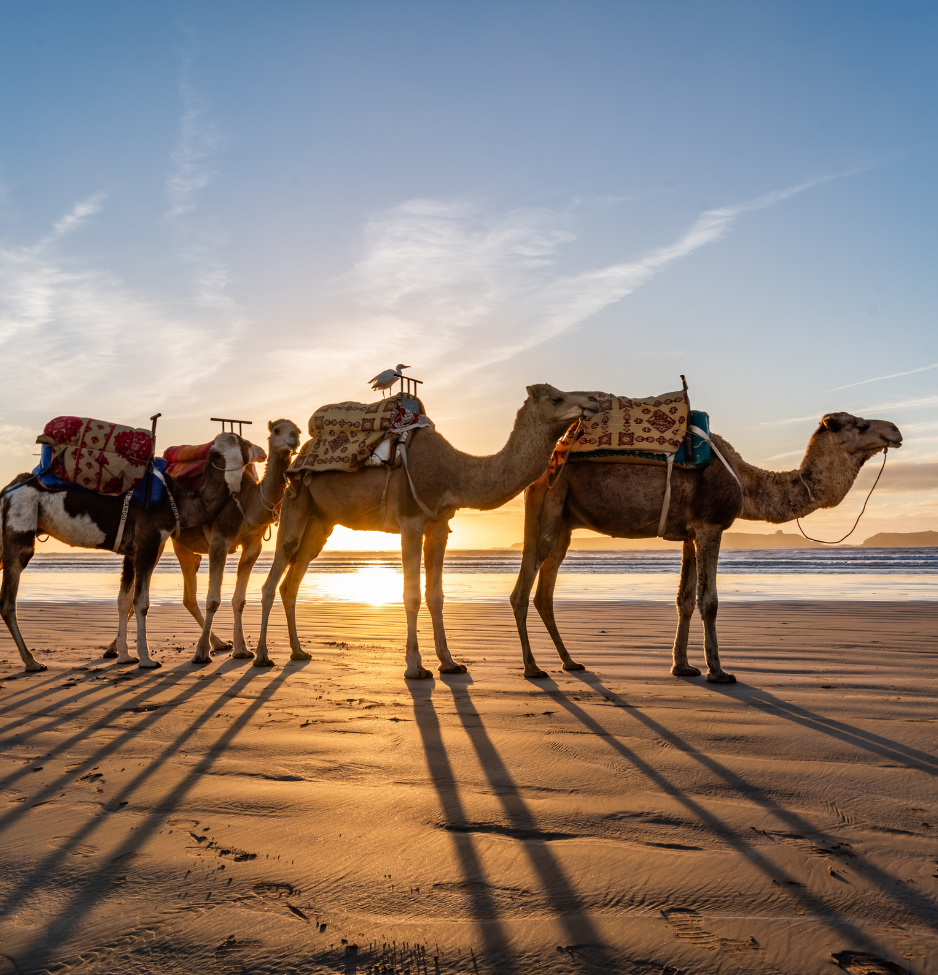 sacred rythme Breakfast Essaouira beach